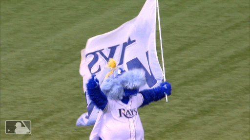 flag mascot GIF by MLB
