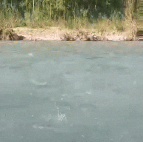 Rafting Raft GIF by philoyolo