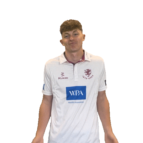 Ball Shrug Sticker by Somerset County Cricket Club