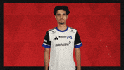 Hamburger Sv Football GIF by Bundesliga