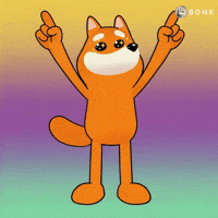 Coins Catching GIF by BONK