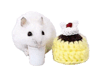 Hamster Tororo Sticker