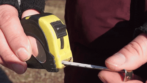 vladimirfilatov giphygifmaker GIF