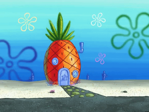 season 6 GIF by SpongeBob SquarePants
