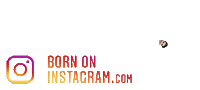 Divyansh401Boi Sticker by BORN ON INSTAGRAM