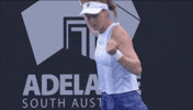 Samsonova GIF