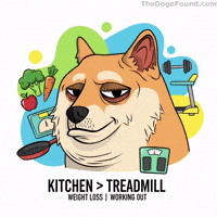 Working Out Shiba Inu GIF by Doge Pound