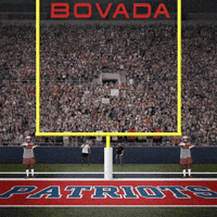 Patriots Wide Left GIF by Bovada