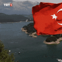 Turkey Turkish GIF by TRT