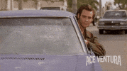 jim carrey alrighty then GIF by Morgan Creek