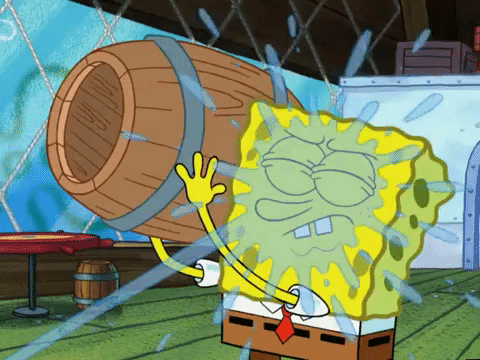 season 6 penny foolish GIF by SpongeBob SquarePants