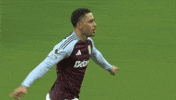 Avfc GIF by Aston Villa FC