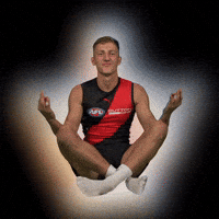 Afl Johnson GIF by Essendon FC