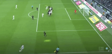 davidpanuska giphyupload GIF