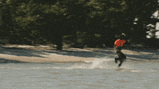 ELARAPICTURES  GIF