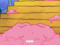 season 5 GIF by SpongeBob SquarePants