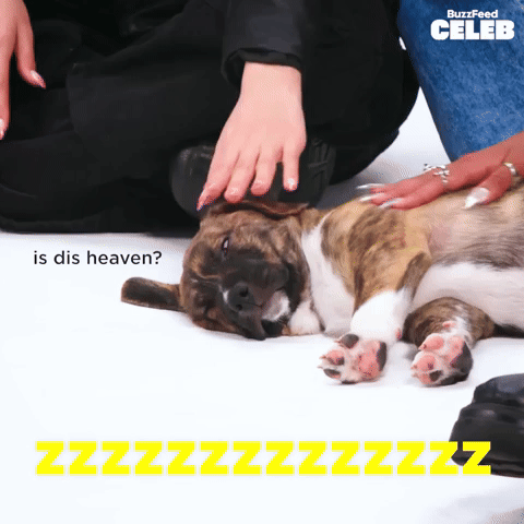 is dis heaven?