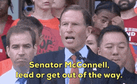 Mitch Mcconnell Gun Violence GIF by GIPHY News