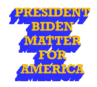 Election 2020 Democrat Sticker by techshida