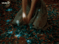 Jennifer Lawrence Cinema GIF by MUBI
