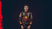 Red Bull Boom GIF by Red Bull Racing