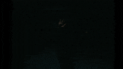 Music Video Morgan GIF by Rudimental