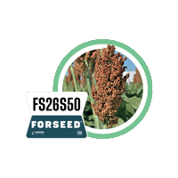 Forseedsementes Sticker by Longping High Tech