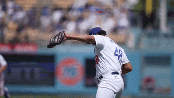 Celebrate Lets Go GIF by MLB