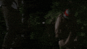Teenage Mutant Ninja Turtles Cricket GIF