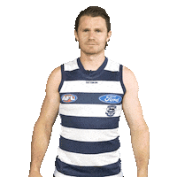 swipe up patrick dangerfield Sticker by geelongcats