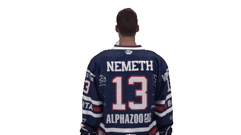 Ice Hockey Sport Sticker by Fehervar AV19