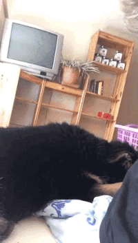 mrw someone titties mentions GIF