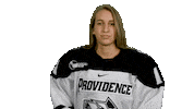 Sticker by Providence Friars
