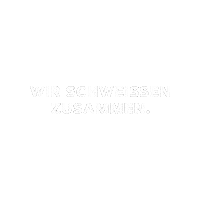 Hollnack-GmbH welding welder schweißen hollnack Sticker