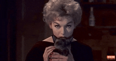 Black Cat GIF by Turner Classic Movies