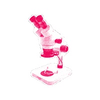 Politk Sticker by NEOS