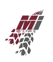 MotorsportInfected motorsport drift mi drifting Sticker