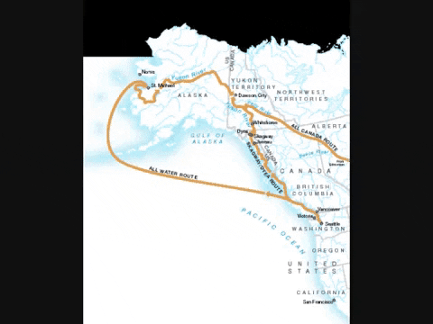 VicVik giphyupload GIF