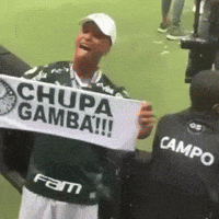 portalverdao palmeiras corinthians sep portalverdao GIF