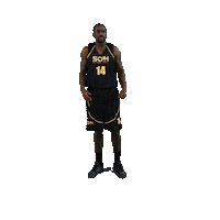 Houilles Sticker by SOH Basketball