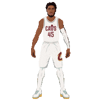 Nba Playoffs Basketball Sticker by SportsManias