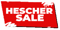 Hotsale Sticker by Bujías Hescher