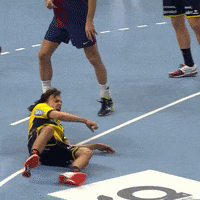 rhein neckar lowen yes GIF by EHF