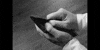 Black And White Fly GIF by RocketJump