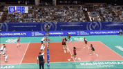 Power Celebrate GIF by Volleyball World