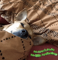 Tired Mood GIF by Tiffany