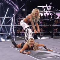 Surfer Girl Wwe GIF