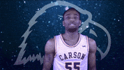 Basketball Beard GIF by Carson-Newman Athletics