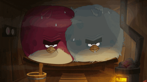 winter finland GIF by Angry Birds