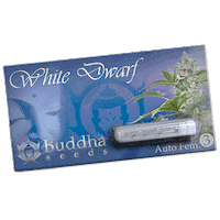 Semillas Sticker by BuddhaSeeds